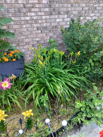 317 Azalea Drive, Hobart, IN 46342