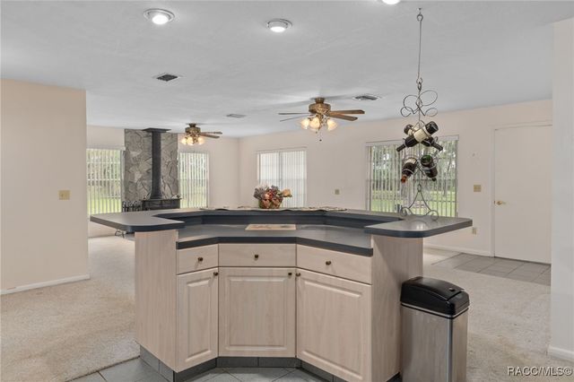 8738 E Clearview Street, Floral City, FL 34436