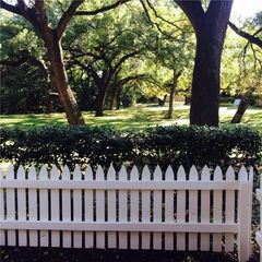 1601 Faro DR 1704, Austin, TX 78741