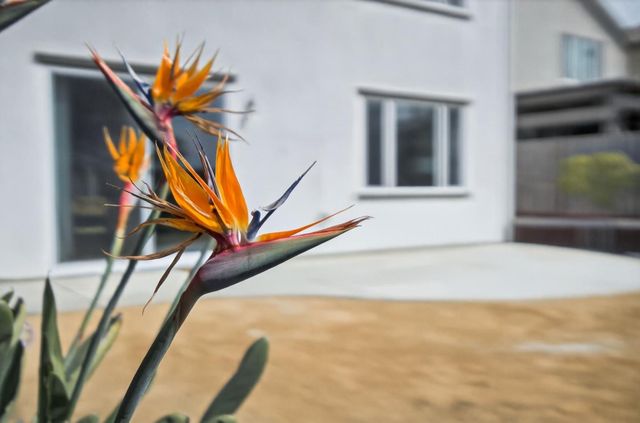 408 Tanoak Street, Hollister, CA 95023