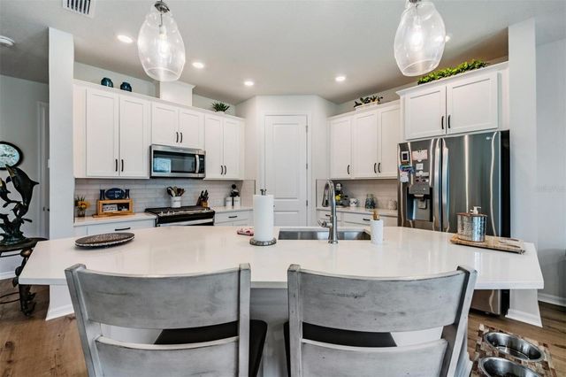 17288 BALANCE COVE, Land O Lakes, FL 34638