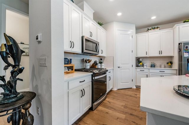 17288 BALANCE COVE, Land O Lakes, FL 34638