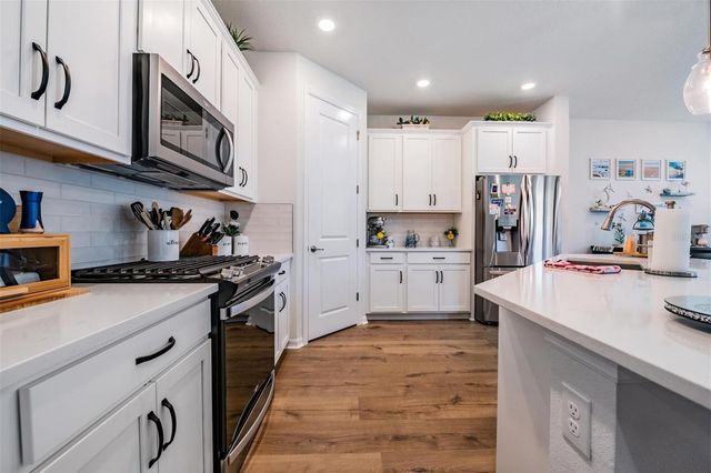 17288 BALANCE COVE, Land O Lakes, FL 34638