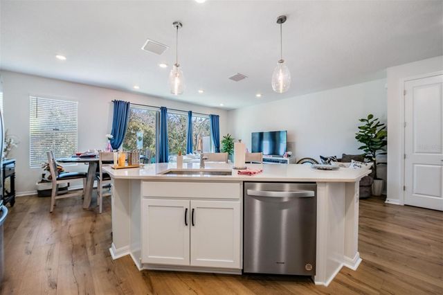 17288 BALANCE COVE, Land O Lakes, FL 34638