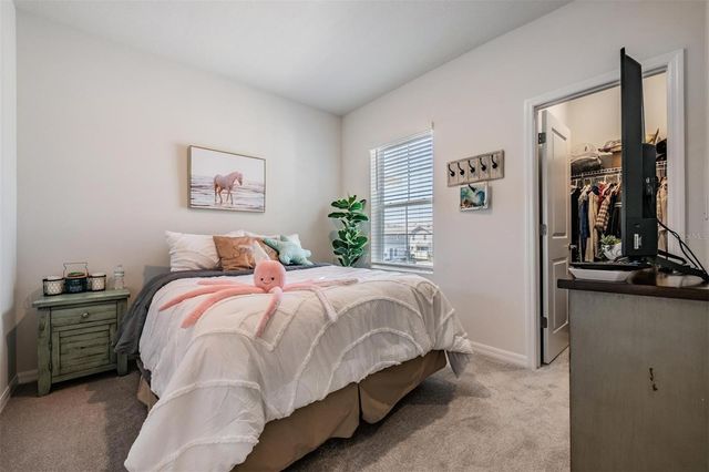 17288 BALANCE COVE, Land O Lakes, FL 34638