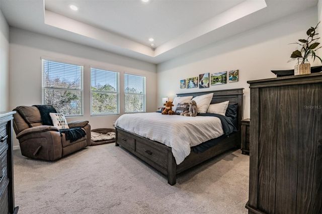 17288 BALANCE COVE, Land O Lakes, FL 34638