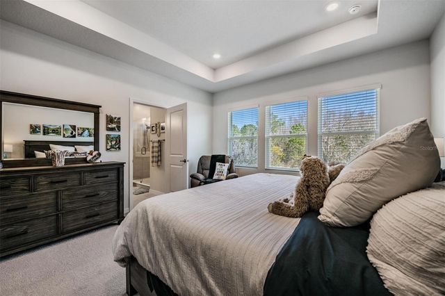 17288 BALANCE COVE, Land O Lakes, FL 34638