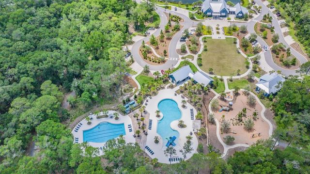 17288 BALANCE COVE, Land O Lakes, FL 34638