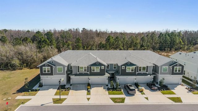 17288 BALANCE COVE, Land O Lakes, FL 34638