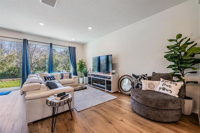 17288 BALANCE COVE, Land O Lakes, FL 34638