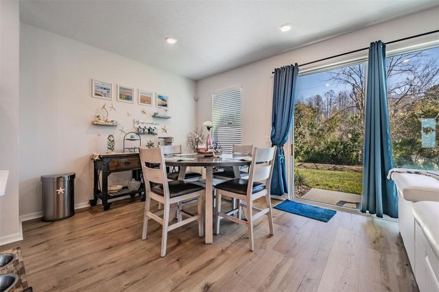 17288 BALANCE COVE, Land O Lakes, FL 34638