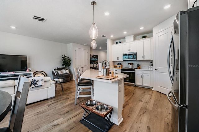 17288 BALANCE COVE, Land O Lakes, FL 34638