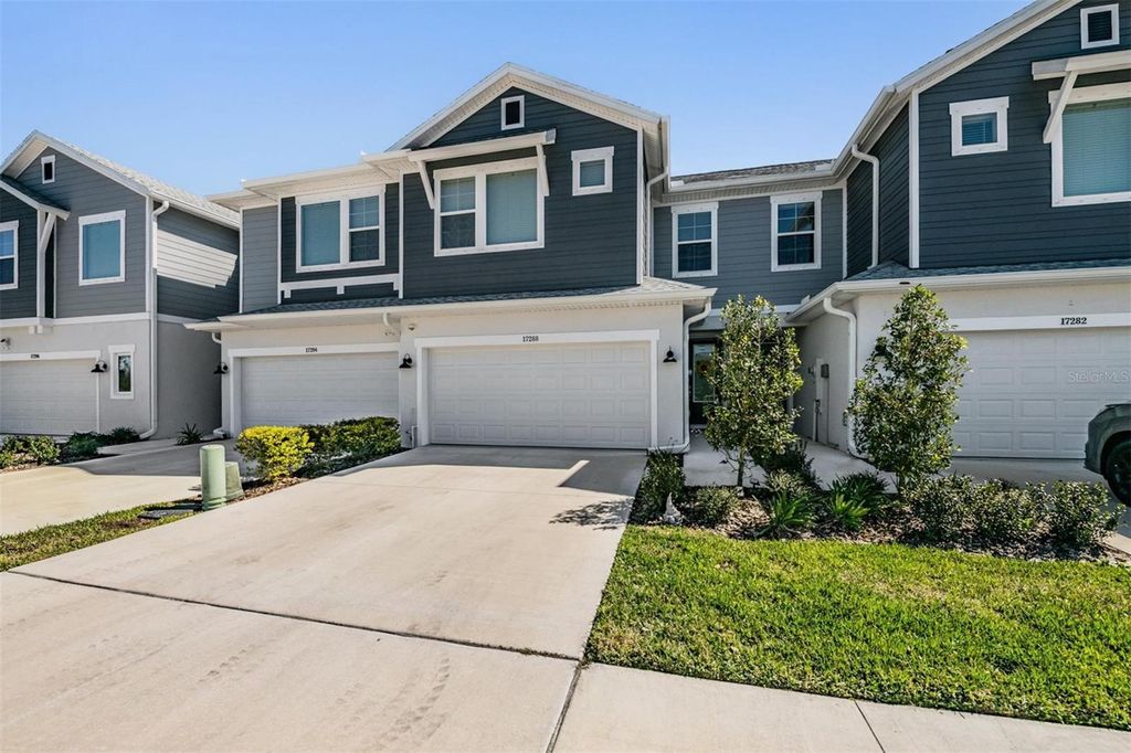 17288 BALANCE COVE, Land O Lakes, FL 34638