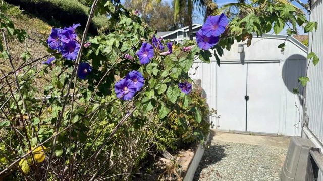 444 N El Camino Real 129, Encinitas, CA 92024