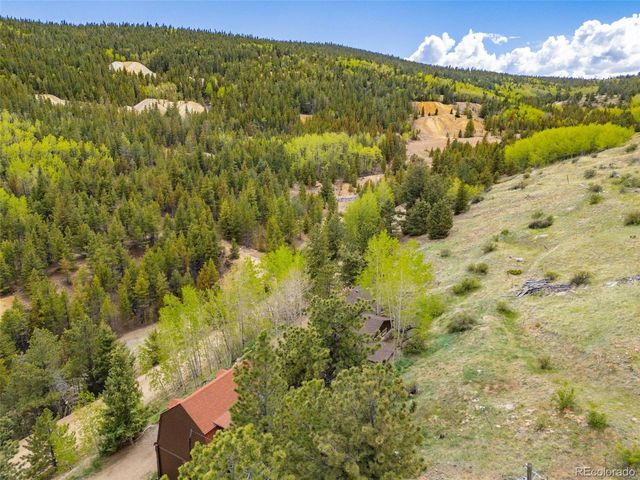 1263 Nevadaville Rd, Central City, CO 80247