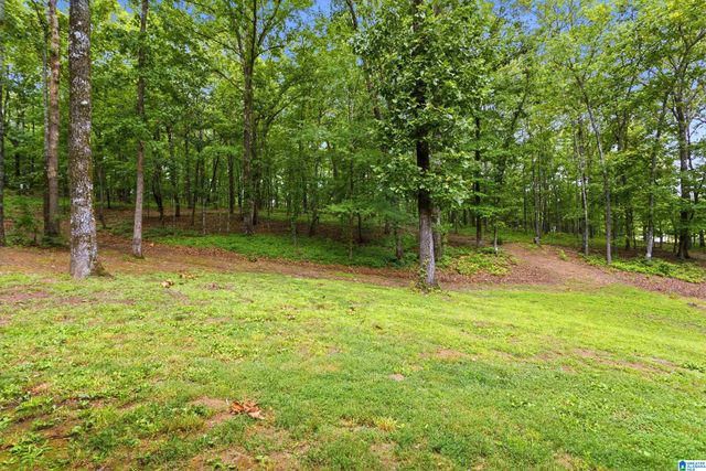231 COUNTRY RIDGE ROAD, Montevallo, AL 35115