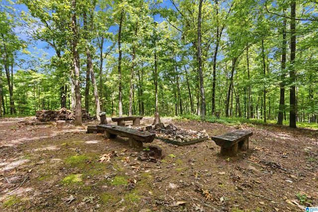 231 COUNTRY RIDGE ROAD, Montevallo, AL 35115