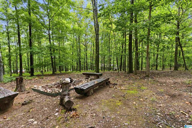 231 COUNTRY RIDGE ROAD, Montevallo, AL 35115
