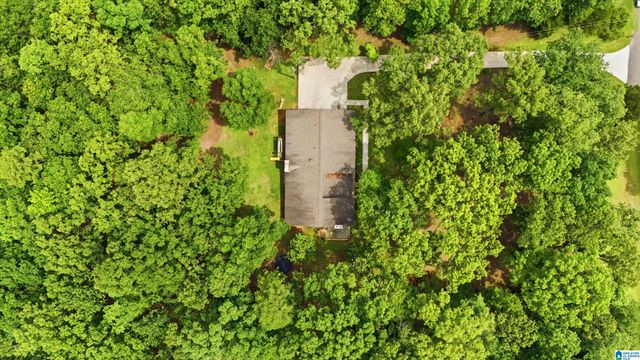 231 COUNTRY RIDGE ROAD, Montevallo, AL 35115