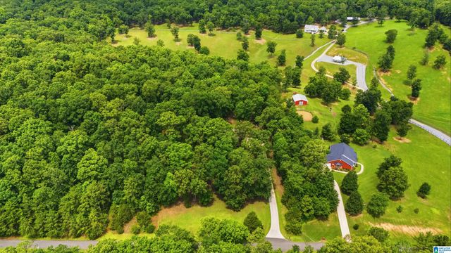231 COUNTRY RIDGE ROAD, Montevallo, AL 35115