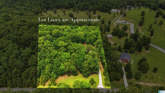 231 COUNTRY RIDGE ROAD, Montevallo, AL 35115