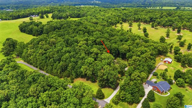 231 COUNTRY RIDGE ROAD, Montevallo, AL 35115