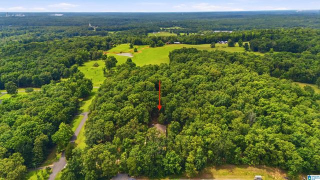 231 COUNTRY RIDGE ROAD, Montevallo, AL 35115