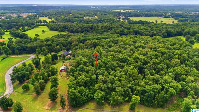 231 COUNTRY RIDGE ROAD, Montevallo, AL 35115
