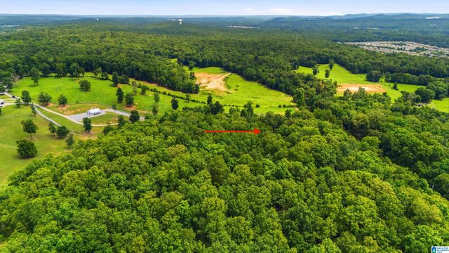 231 COUNTRY RIDGE ROAD, Montevallo, AL 35115