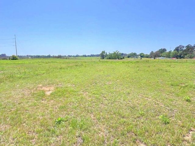 541 County Road 1855, Grapeland, TX 75844