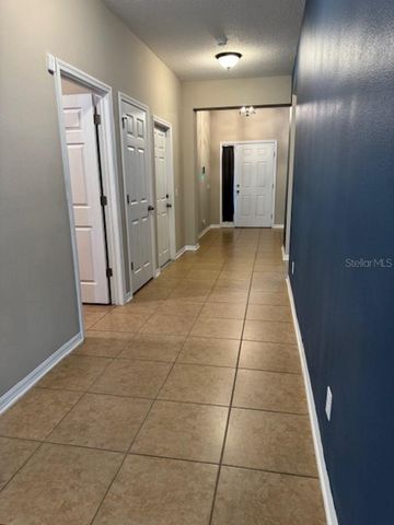 11439 CARLTON FIELDS DRIVE, Riverview, FL 33579