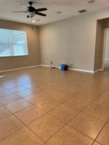 11439 CARLTON FIELDS DRIVE, Riverview, FL 33579