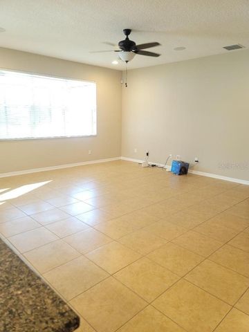 11439 CARLTON FIELDS DRIVE, Riverview, FL 33579