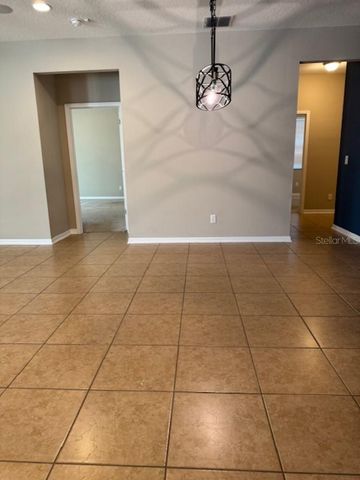 11439 CARLTON FIELDS DRIVE, Riverview, FL 33579