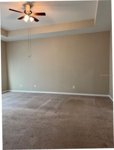 11439 CARLTON FIELDS DRIVE, Riverview, FL 33579