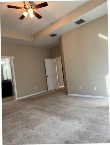 11439 CARLTON FIELDS DRIVE, Riverview, FL 33579