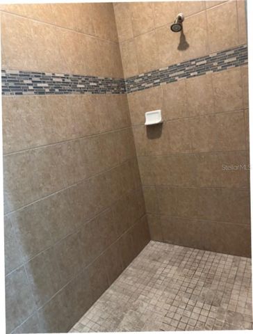 11439 CARLTON FIELDS DRIVE, Riverview, FL 33579