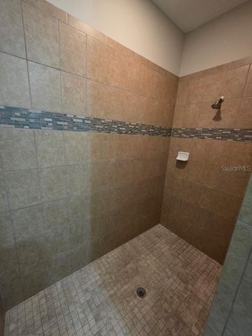 11439 CARLTON FIELDS DRIVE, Riverview, FL 33579