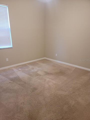 11439 CARLTON FIELDS DRIVE, Riverview, FL 33579