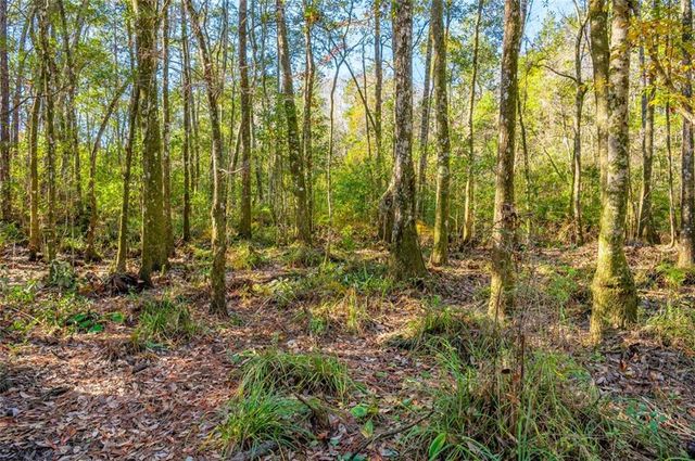 4586 Cypress Park Drive, Mobile, AL 36619