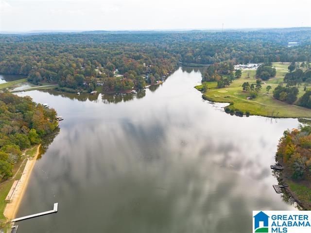 21219 DELMAR DRIVE, Lake View, AL 35111
