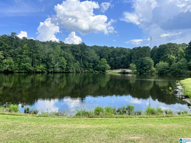 21219 DELMAR DRIVE, Lake View, AL 35111