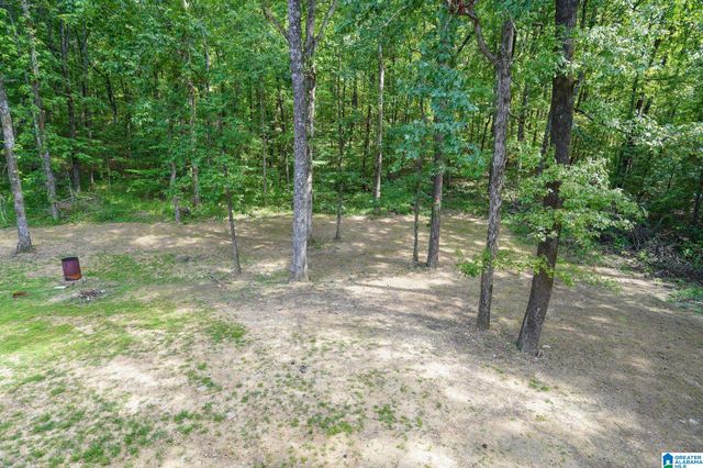 21219 DELMAR DRIVE, Lake View, AL 35111