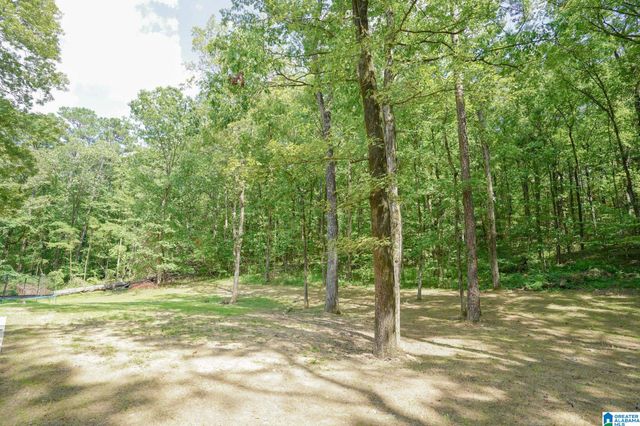 21219 DELMAR DRIVE, Lake View, AL 35111