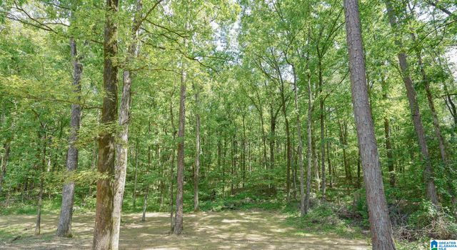 21219 DELMAR DRIVE, Lake View, AL 35111