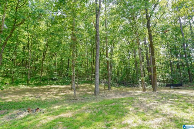21219 DELMAR DRIVE, Lake View, AL 35111