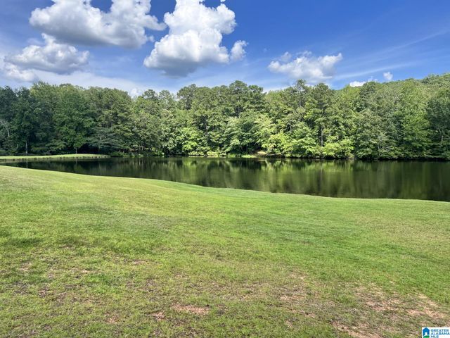 21219 DELMAR DRIVE, Lake View, AL 35111