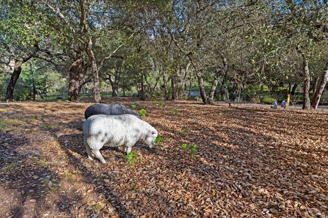 2557 Trinity Rd, Glen Ellen, CA 95442