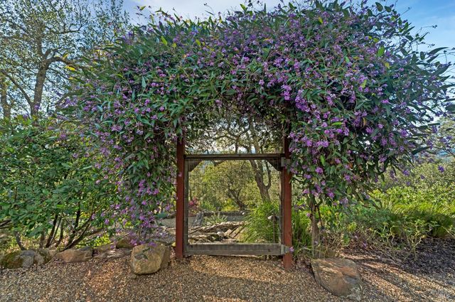 2557 Trinity Rd, Glen Ellen, CA 95442