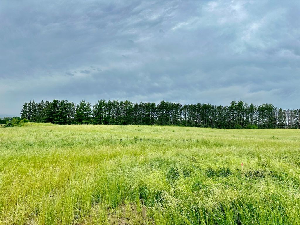 2535 Pioneer Trail, Medina, MN 55340 — photo 3